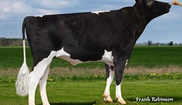 Quartet of Holstein bulls graduate to top of proven sire list